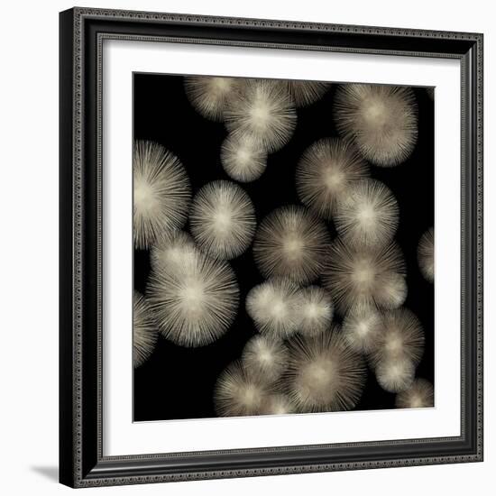 Pewter Sunbursts-Abby Young-Framed Art Print