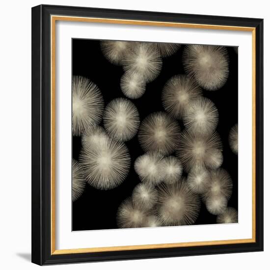 Pewter Sunbursts-Abby Young-Framed Art Print