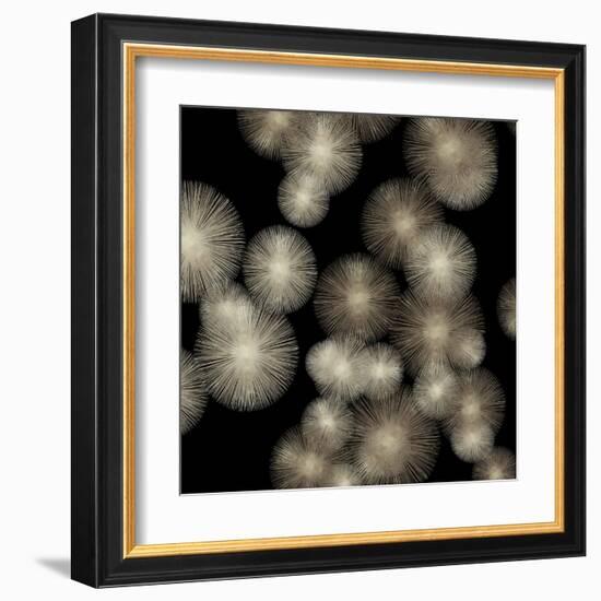 Pewter Sunbursts-Abby Young-Framed Art Print