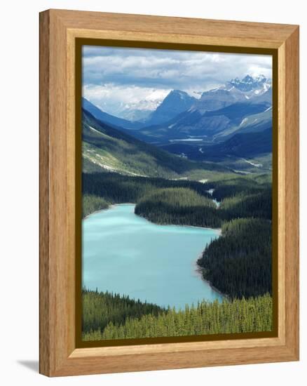 Peyto Lake, Banff National Park, UNESCO World Heritage Site, Alberta, Rocky Mountains, Canada, Nort-Hans Peter Merten-Framed Premier Image Canvas