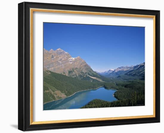 Peyto Lake, Banff Np, Alberta, Canada-Danielle Gali-Framed Photographic Print