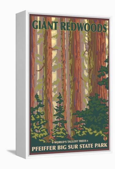 Pfeiffer Big Sur State Park, California - Giant Redwoods-Lantern Press-Framed Stretched Canvas