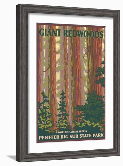 Pfeiffer Big Sur State Park, California - Giant Redwoods-Lantern Press-Framed Art Print