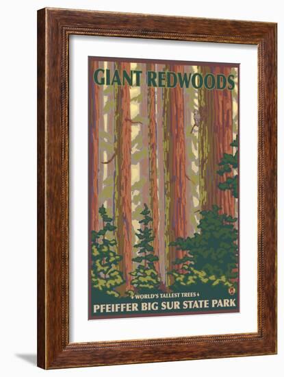 Pfeiffer Big Sur State Park, California - Giant Redwoods-Lantern Press-Framed Art Print