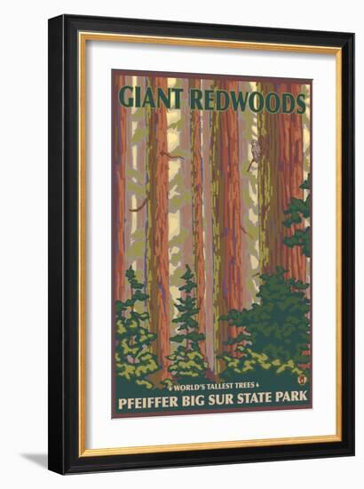 Pfeiffer Big Sur State Park, California - Giant Redwoods-Lantern Press-Framed Art Print