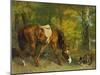 Pferd Im Walde, 1863-Gustave Courbet-Mounted Giclee Print