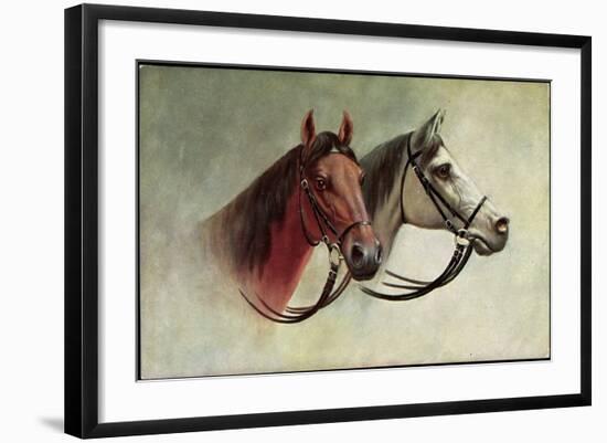 Pferd, Schwarzes Und Weißes Pferd Mit Geschirr, Schimmel-null-Framed Giclee Print