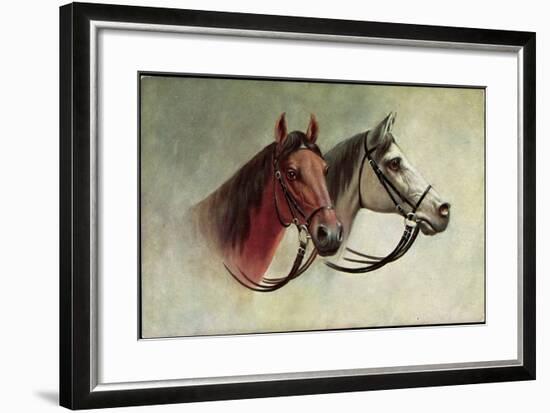 Pferd, Schwarzes Und Weißes Pferd Mit Geschirr, Schimmel-null-Framed Giclee Print