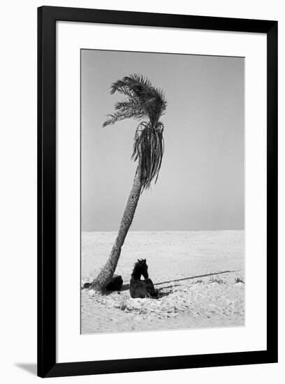 Pferd-Traum 2, 2015-Jaschi Klein-Framed Photographic Print