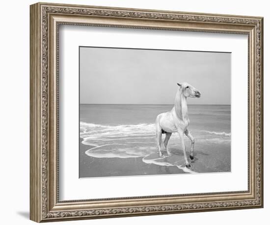 Pferd-Traum 4, 2015-Jaschi Klein-Framed Photographic Print