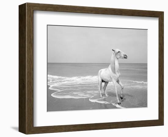 Pferd-Traum 4, 2015-Jaschi Klein-Framed Photographic Print
