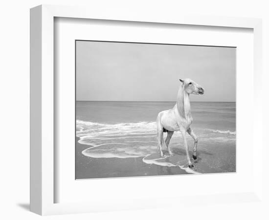 Pferd-Traum 4, 2015-Jaschi Klein-Framed Photographic Print