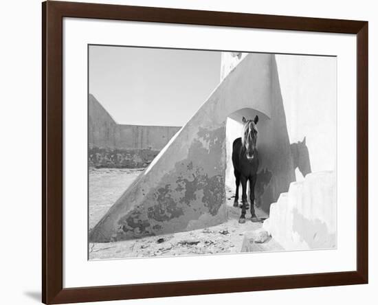 Pferd-Traum 7, 2015-Jaschi Klein-Framed Photographic Print