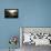 Pflicht: Motivationsposter Mit Inspirierendem Zitat-null-Mounted Photographic Print displayed on a wall