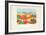 PG - Paysage Grec-Charles Lapicque-Framed Limited Edition