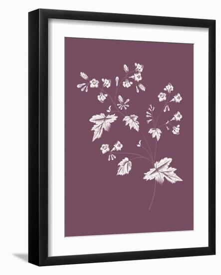 Phacelia Purple Flower-Jasmine Woods-Framed Art Print