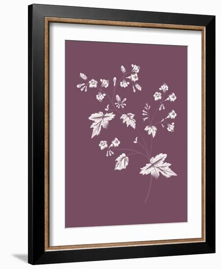 Phacelia Purple Flower-Jasmine Woods-Framed Art Print