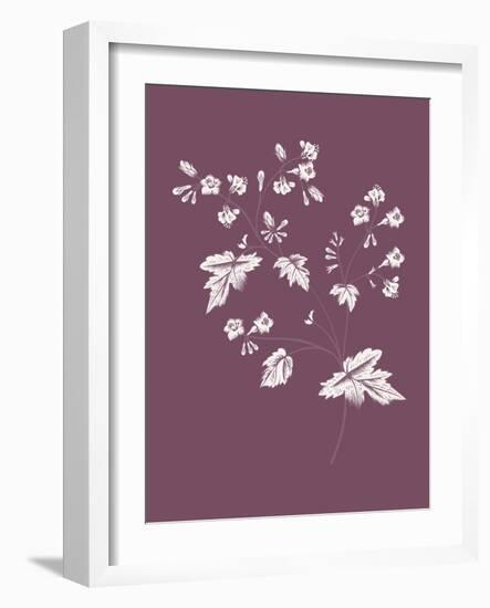 Phacelia Purple Flower-Jasmine Woods-Framed Art Print