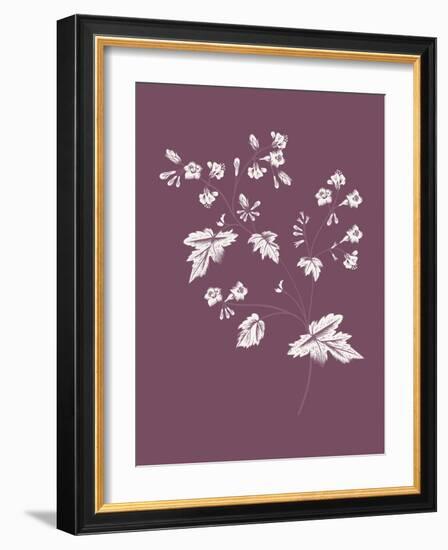 Phacelia Purple Flower-Jasmine Woods-Framed Art Print