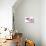 Phalaenopsis Hilo Pink1-Fabio Petroni-Premium Photographic Print displayed on a wall