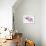 Phalaenopsis Hilo Pink1-Fabio Petroni-Framed Photographic Print displayed on a wall