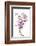 Phalaenopsis Hilo Pink2-Fabio Petroni-Framed Photographic Print