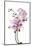 Phalaenopsis Hilo Pink2-Fabio Petroni-Mounted Photographic Print