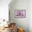 Phalaenopsis Hilo Pink3-Fabio Petroni-Framed Photographic Print displayed on a wall