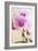 Phalaenopsis Hinamatsuri 'Blushing Bride'-Maria Mosolova-Framed Photographic Print