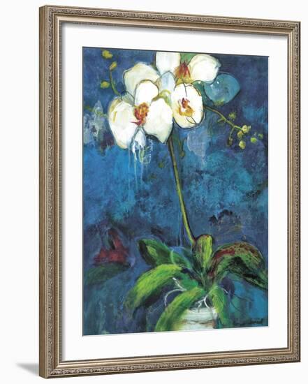 Phalaenopsis I-Connie Tunick-Framed Art Print