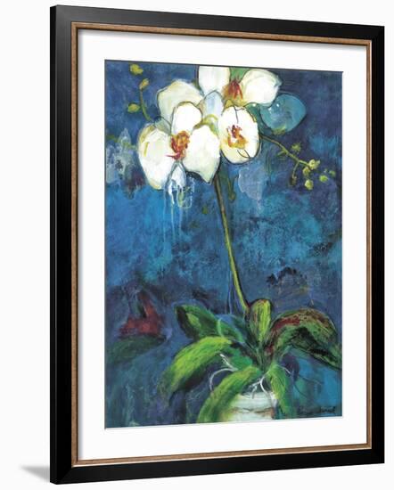 Phalaenopsis I-Connie Tunick-Framed Art Print