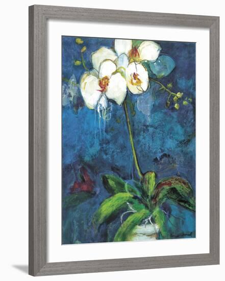 Phalaenopsis I-Connie Tunick-Framed Art Print