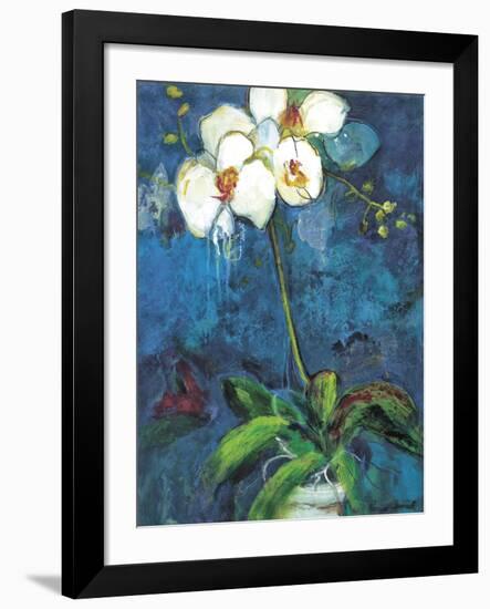 Phalaenopsis I-Connie Tunick-Framed Art Print