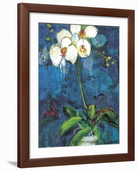 Phalaenopsis I-Connie Tunick-Framed Art Print