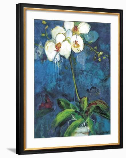 Phalaenopsis I-Connie Tunick-Framed Art Print