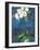 Phalaenopsis I-Connie Tunick-Framed Giclee Print