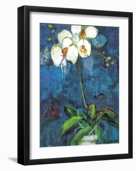 Phalaenopsis I-Connie Tunick-Framed Giclee Print