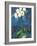 Phalaenopsis I-Connie Tunick-Framed Giclee Print