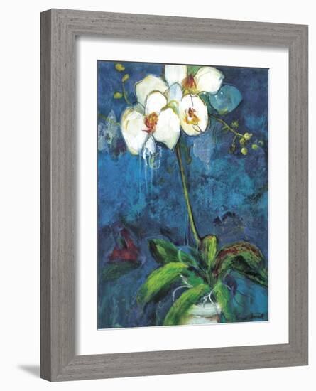 Phalaenopsis I-Connie Tunick-Framed Giclee Print