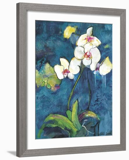 Phalaenopsis II-Connie Tunick-Framed Art Print