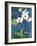 Phalaenopsis II-Connie Tunick-Framed Giclee Print