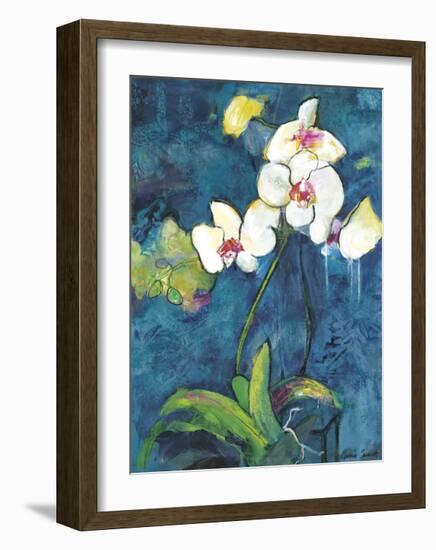 Phalaenopsis II-Connie Tunick-Framed Giclee Print