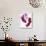 Phalaenopsis orchids-null-Photographic Print displayed on a wall