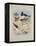 Phaleropes, Oystercatcher, Avocet, Turnstone and Stilt, C.1915 (W/C & Bodycolour with Gum Arabic Ov-Archibald Thorburn-Framed Premier Image Canvas