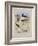 Phaleropes, Oystercatcher, Avocet, Turnstone and Stilt, C.1915 (W/C & Bodycolour with Gum Arabic Ov-Archibald Thorburn-Framed Giclee Print