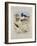 Phaleropes, Oystercatcher, Avocet, Turnstone and Stilt, C.1915 (W/C & Bodycolour with Gum Arabic Ov-Archibald Thorburn-Framed Giclee Print