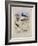 Phaleropes, Oystercatcher, Avocet, Turnstone and Stilt, C.1915 (W/C & Bodycolour with Gum Arabic Ov-Archibald Thorburn-Framed Giclee Print