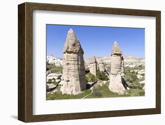 Phallic Rock Formations, Love Valley, Cappadocia, Turkey-Matt Freedman-Framed Photographic Print