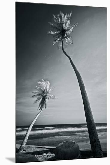 Phan Thiet Seashore-Nhiem Hoang The-Mounted Giclee Print