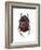 Phanaeus Dung Beetle-Lawrence Lawry-Framed Photographic Print